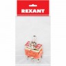 Тумблер REXANT KN-202 250V 15А (6c) двухполюсный 36-4131-1