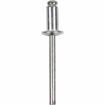 Заклепки REXANT 4.8x12 мм, 50 шт.